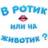 В ротик или на животик