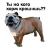 Zhora Only Nuce Sticker Pack 0.1